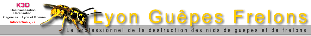 désinsectisation puces
